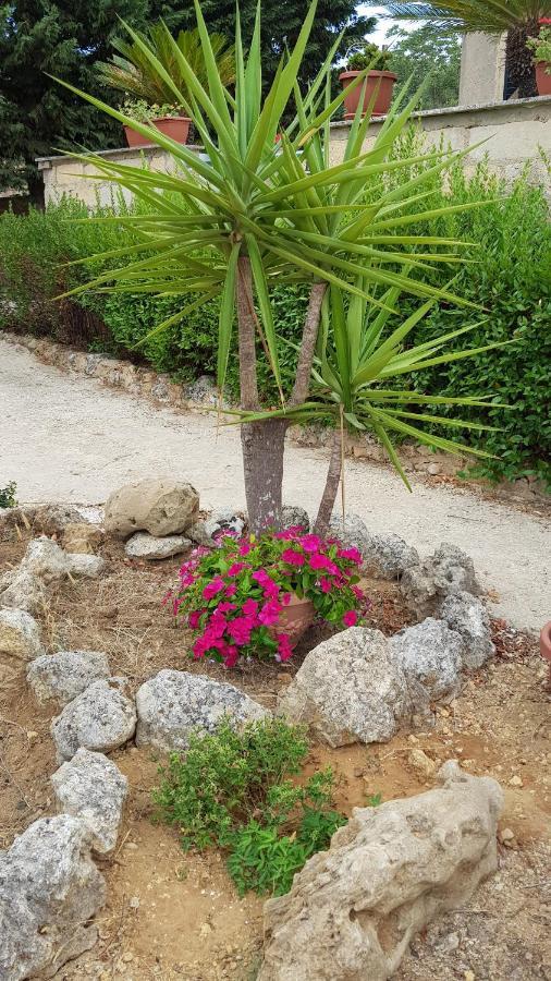 Casa Vacanze Villa Tropia Camastra Εξωτερικό φωτογραφία